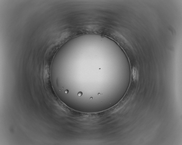 X0000114141107200910221519