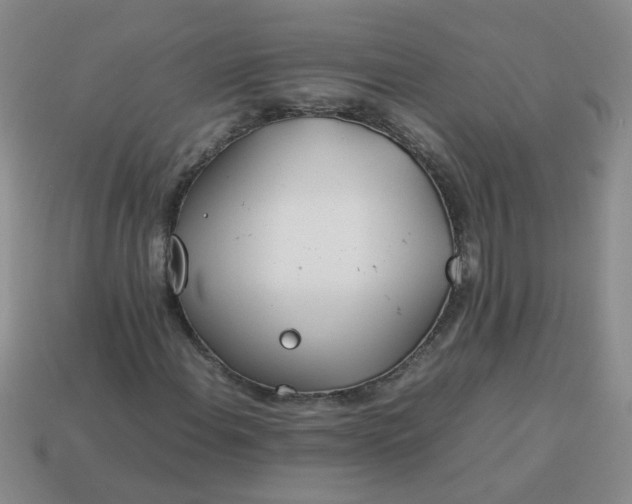 X0000114141108200910221519