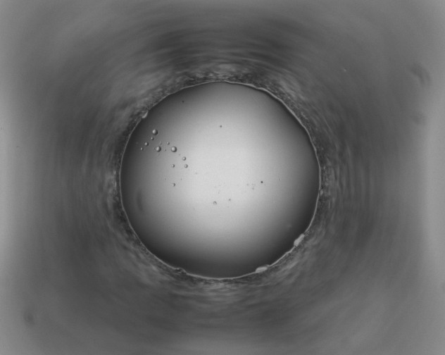 X0000114141109200910221519