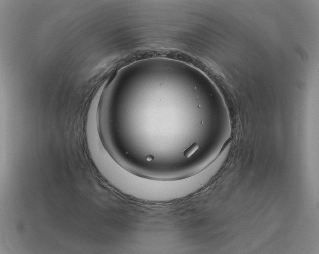 X0000114141110200910221519