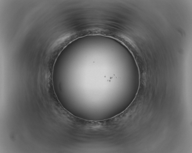 X0000114141111200910221519