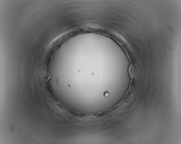 X0000114141112200910221519