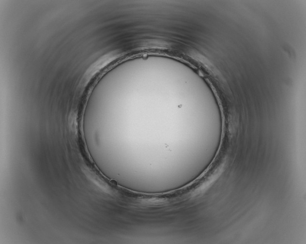 X0000114141113200910221519