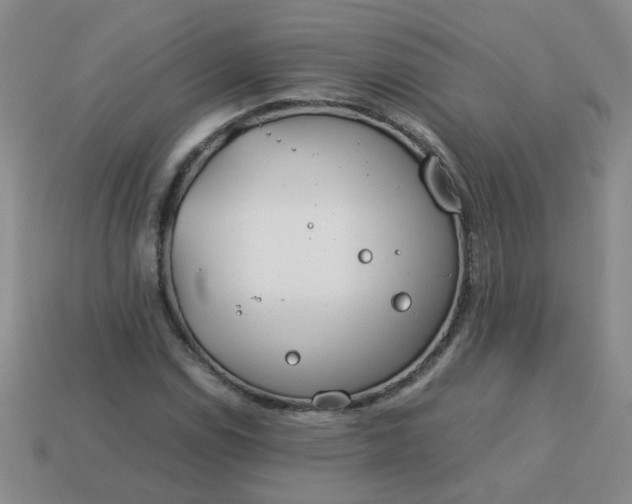 X0000114141114200910221519