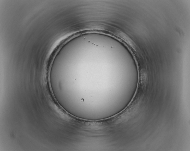 X0000114141116200910221519