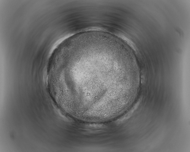 X0000114141117200910221519