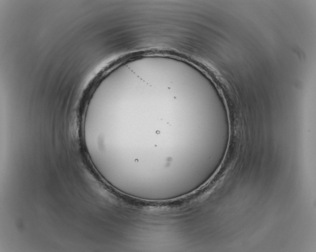 X0000114141118200910221519