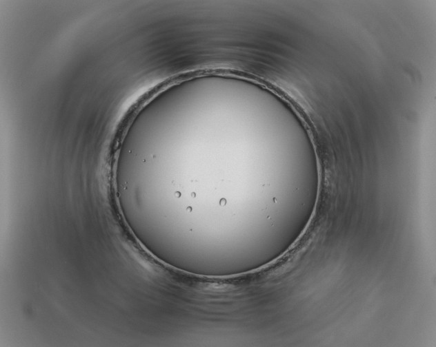 X0000114141119200910221519