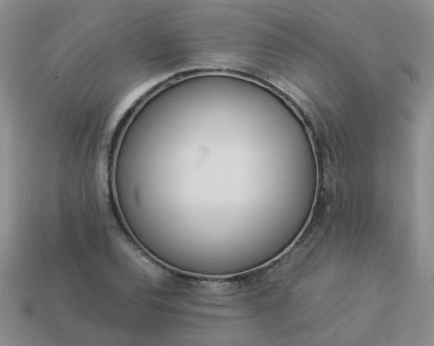 X0000114141120200910221519