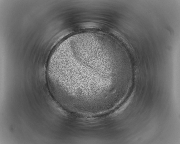 X0000114141121200910221519