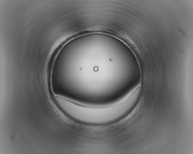 X0000114141122200910221519