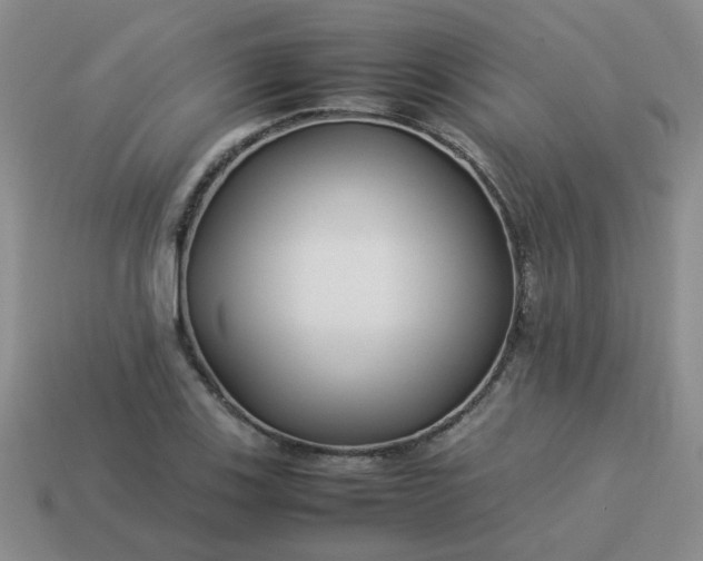 X0000114141123200910221519