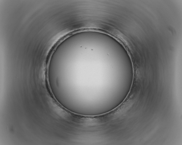 X0000114141124200910221519