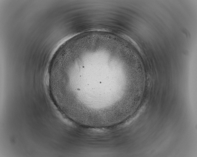 X0000114141125200910221519