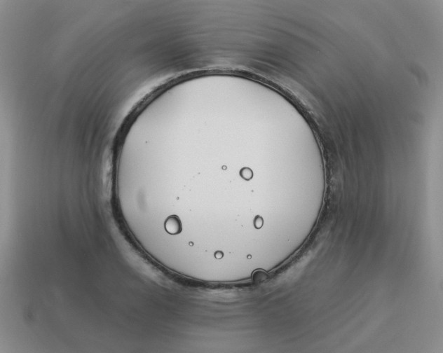 X0000114141126200910221519