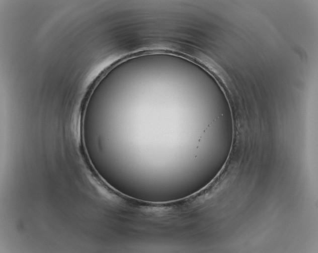 X0000114141127200910221519