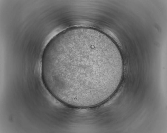 X0000114141130200910221519