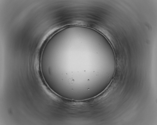 X0000114141131200910221519