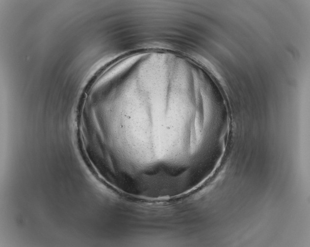 X0000114141133200910221519