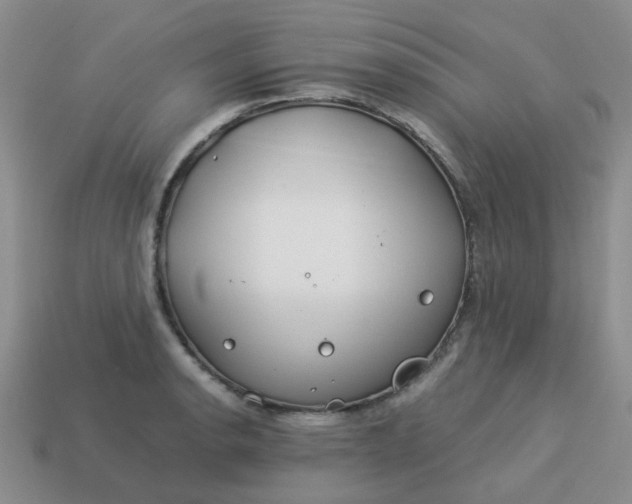 X0000114141134200910221519