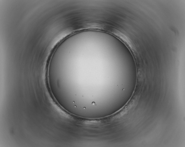 X0000114141135200910221519