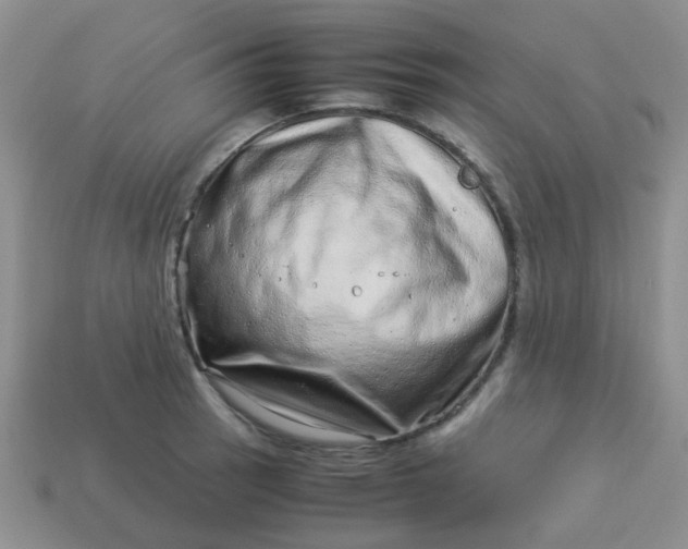 X0000114141137200910221519