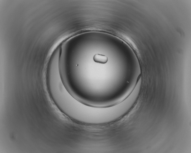 X0000114141138200910221519