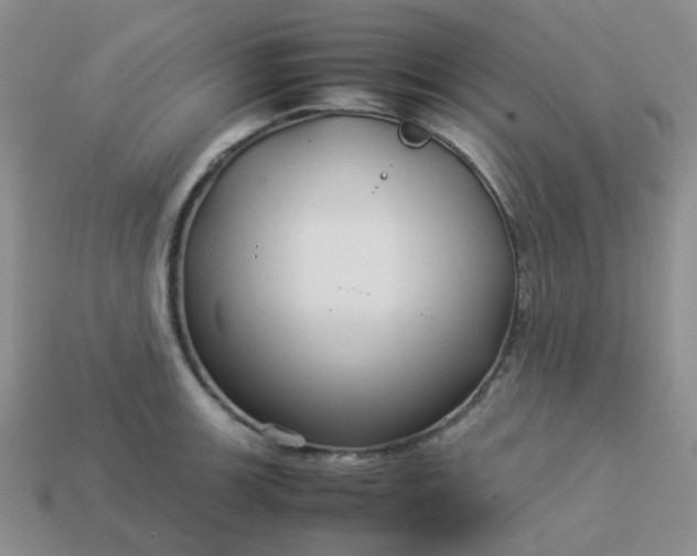 X0000114141139200910221519