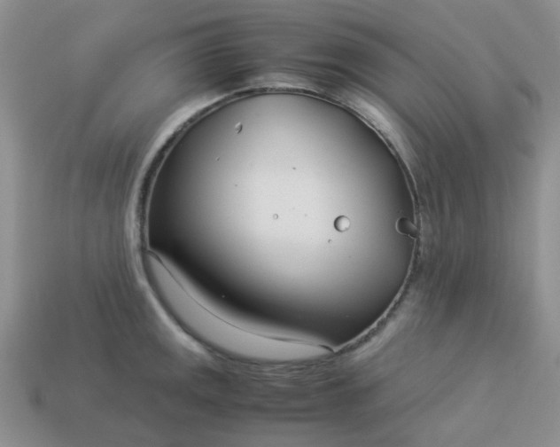 X0000114141141200910221520