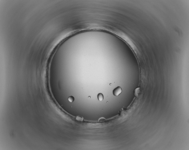 X0000114141142200910221520