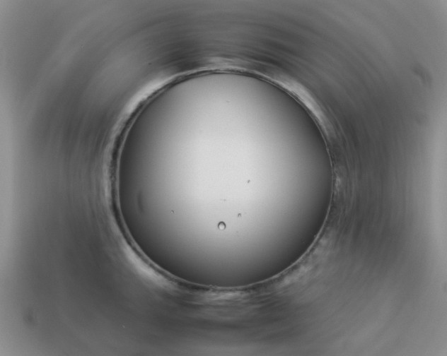 X0000114141143200910221520