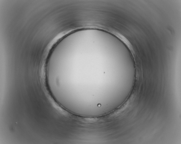 X0000114141144200910221520