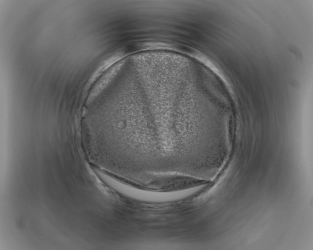 X0000114141145200910221520