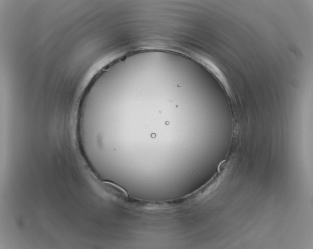 X0000114141146200910221520