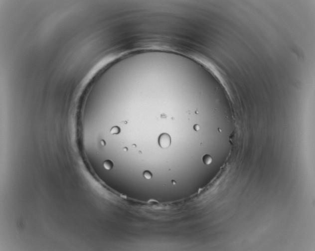 X0000114141147200910221520