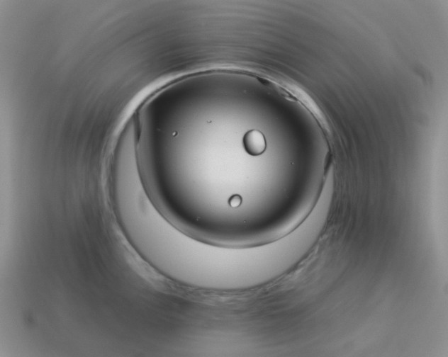 X0000114141148200910221520