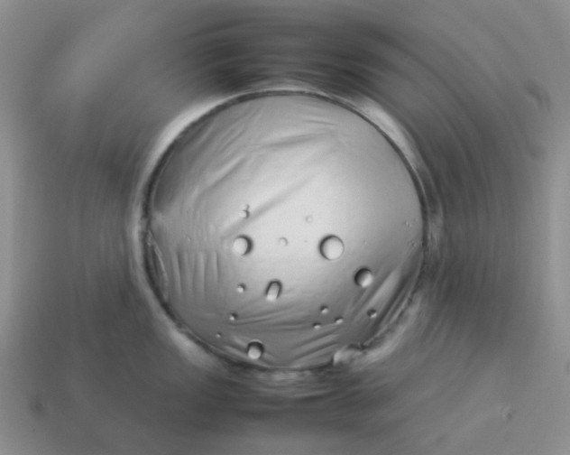 X0000114141149200910221520