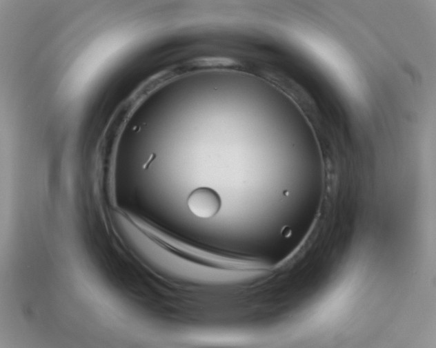 X0000114141151200910221520