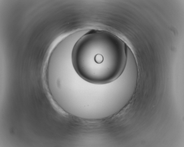 X0000114141152200910221520