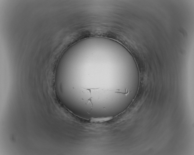 X0000114141153200910221519