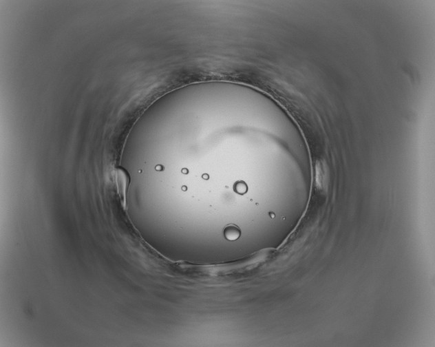 X0000114141155200910221519