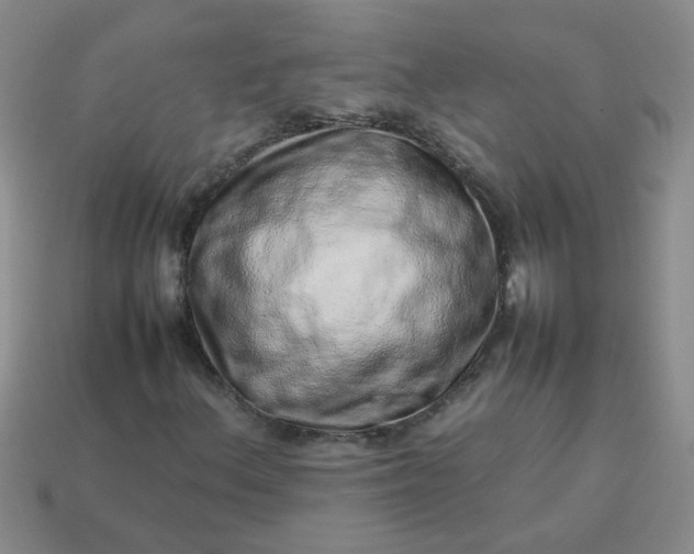 X0000114141156200910221519