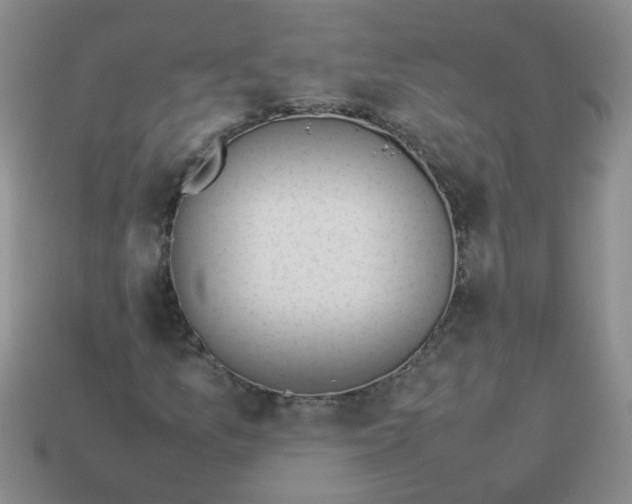 X0000114141157200910221519