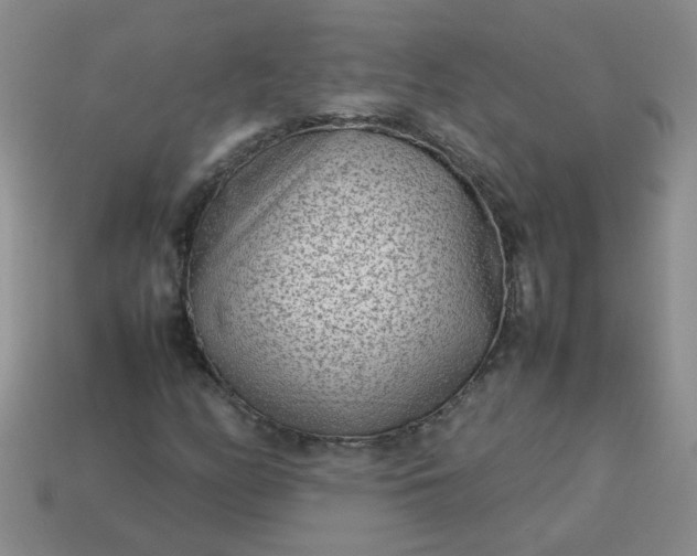 X0000114141158200910221519