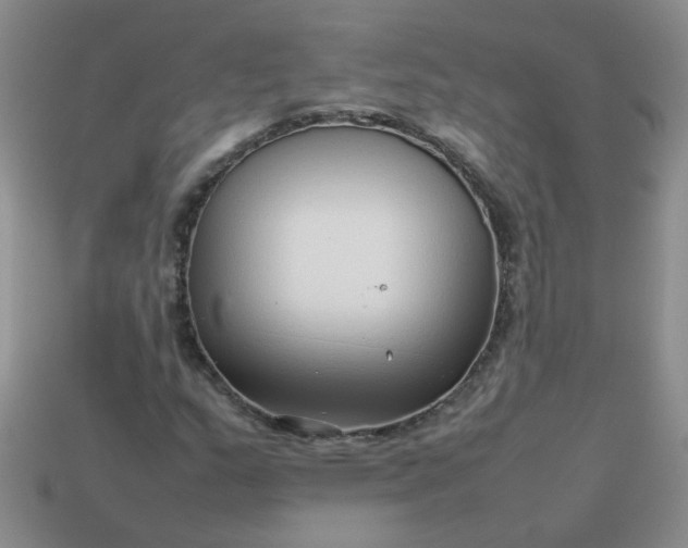 X0000114141159200910221519