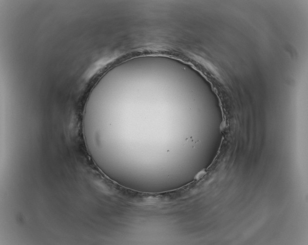 X0000114141160200910221519