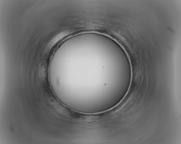 X0000114141163200910221519