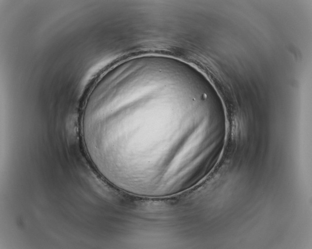 X0000114141164200910221519