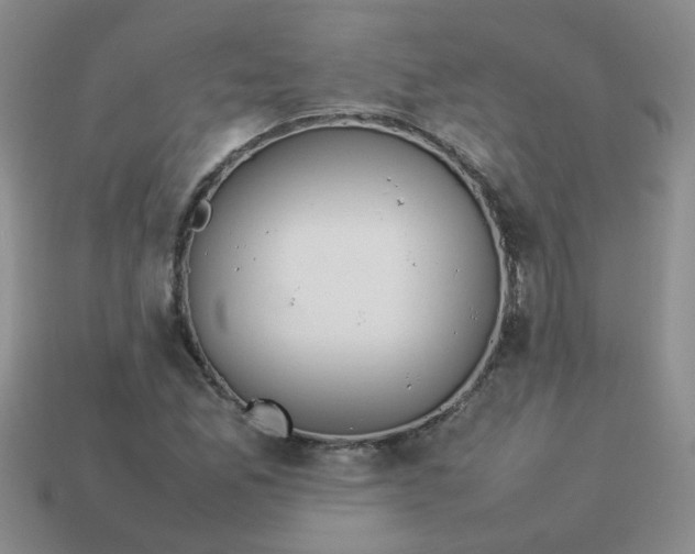 X0000114141165200910221519