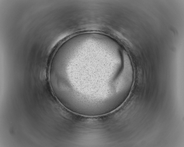 X0000114141166200910221519